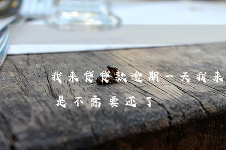 我来贷贷款逾期一天(我来贷逾期一年了是不是不需要还了?)
