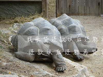 我来贷还款以后还能再贷第四笔吗-我来贷还款以后还能再贷第四笔吗