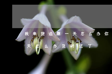 我来贷逾期一天怎么办(你我贷不小心逾期一天怎么办及时还了)