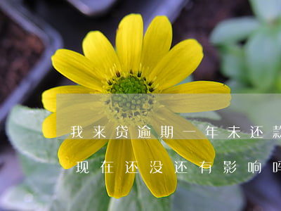 我来贷逾期一年未还款(我贷款逾期了一年多现在还没还,有影响吗?)