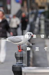 我来贷逾期三个月会上门催收么-我来贷逾期三个月会上门催收么