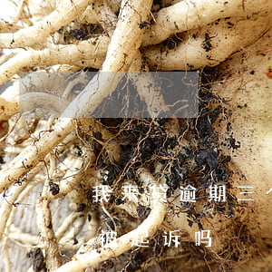 我来贷逾期三个月要起诉(贷款逾期三个月会被起诉吗)