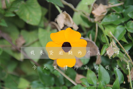 我来贷逾期两个月发律师函 你我贷逾期三年今天发律师函给我是真的吗