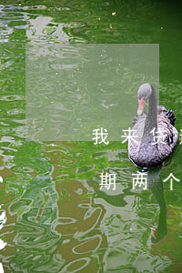 我来贷逾期两个月给我发律师函-我来贷逾期两个月给我发律师函是真的吗