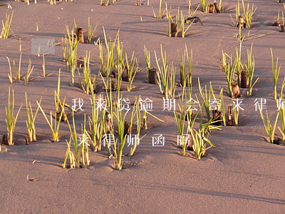 我来贷逾期会寄来律师函吗(我来贷逾期会寄来律师函吗)