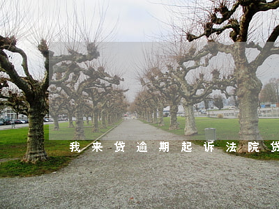 我来贷逾期起诉法院(贷款逾期被法院起诉)