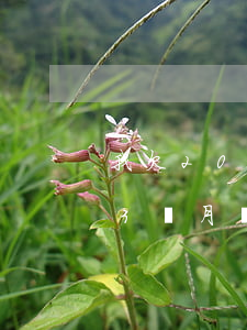 我欠2000信用卡,已經(jīng)逾期3個月會上門嗎?（我欠2000信用卡）