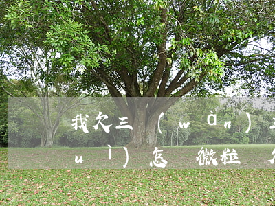 我欠三萬(wàn)三微粒貸還不起會(huì)怎樣(微粒貸欠了三萬(wàn) 現(xiàn)在還不起了怎么辦)