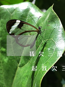 我欠三萬多網(wǎng)商貸怎么辦還不起(我欠三萬多網(wǎng)商貸怎么辦還不起)