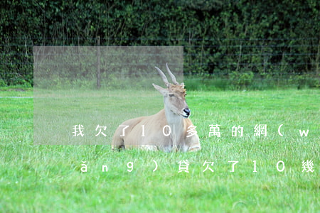 我欠了10多萬的網(wǎng)貸(網(wǎng)貸欠了10幾萬)