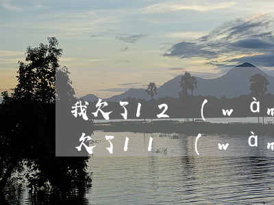 我欠了12萬(wàn)網(wǎng)貸(欠了11萬(wàn)網(wǎng)貸)