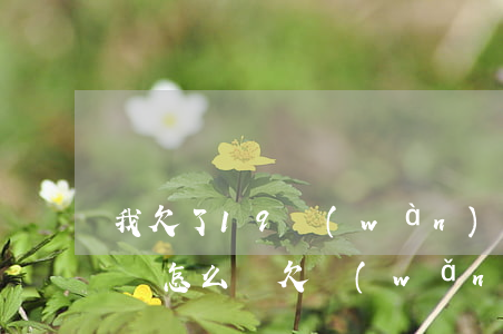 我欠了19萬(wàn)的網(wǎng)貸怎么辦(欠網(wǎng)貸24萬(wàn),我該怎么辦)