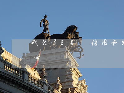 我欠了20萬信用卡(欠了信用卡20萬會坐牢嗎)