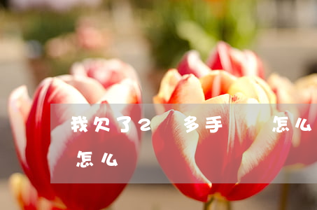 我欠了2萬多手機貸怎么辦呀(欠下幾萬貸款怎么辦)