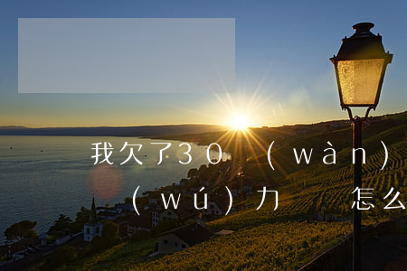 我欠了30萬(wàn)網(wǎng)貸無(wú)力償還怎么辦-我欠了30萬(wàn)網(wǎng)貸無(wú)力償還怎么辦呢