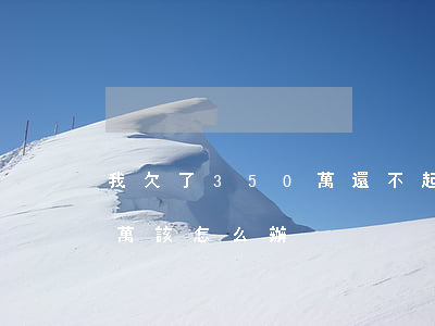 我欠了350萬還不起了怎么辦(欠了三十五萬該怎么辦)