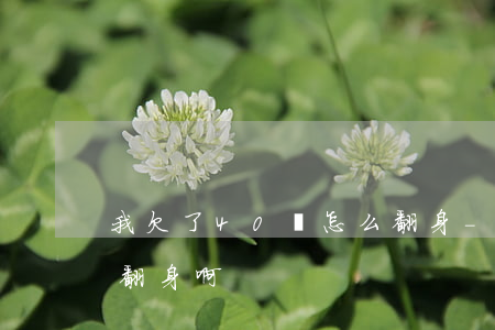 我欠了40萬怎么翻身-我欠了40萬怎么翻身啊