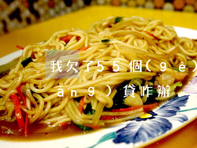 我欠了55個(gè)十個(gè)網(wǎng)貸咋辦