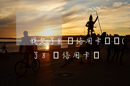 我欠了8萬信用卡債務(wù)怎么還（我欠了8萬信用卡債）