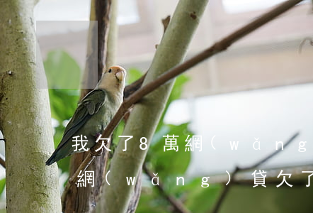 我欠了8萬網(wǎng)貸還不上怎么辦(網(wǎng)貸欠了8萬多怎么辦)
