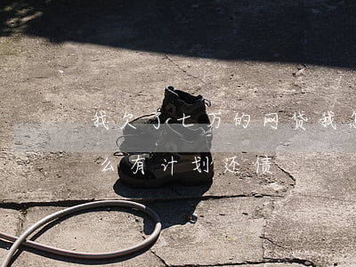 我欠了七万的网贷我怎么还债(欠6万网贷怎么有计划还债)
