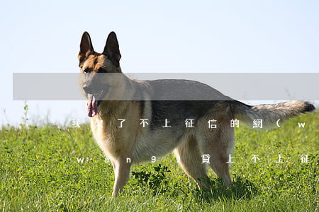 我欠了不上征信的網(wǎng)貸(欠網(wǎng)貸上不上征信)