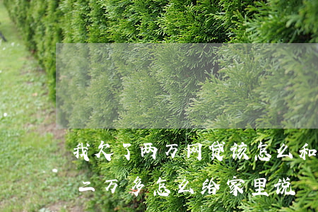 我欠了两万网贷该怎么和男朋友说(网贷欠了二万多怎么给家里说)
