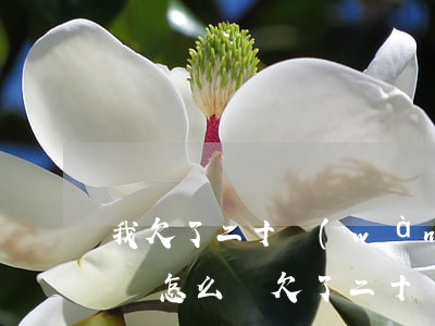 我欠了二十萬(wàn)網(wǎng)貸 該怎么辦(欠了二十幾萬(wàn)網(wǎng)貸還不上怎么辦)