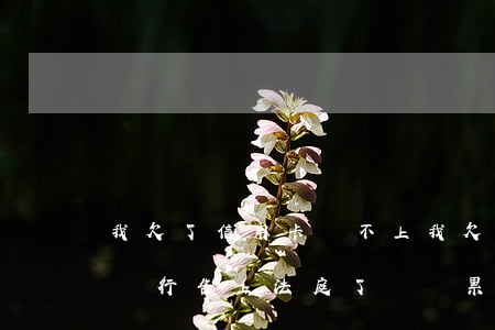我欠了信用卡還不上(我欠了信用卡還不上被銀行告上法庭了會連累親弟弟嗎)