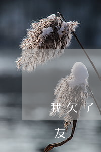 我欠了兩萬網(wǎng)貸該怎么和男朋友說(網(wǎng)貸欠了二萬多怎么給家里說)