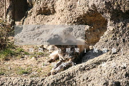 我欠了分期樂1萬塊會(huì)被起訴嗎-分期樂欠了一萬多說要起訴我是真的嗎