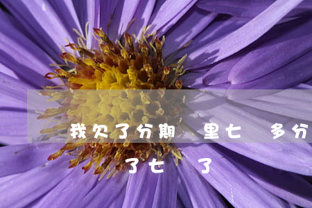 我欠了分期樂里七萬多(分期樂借了三萬多已經還了七萬了)