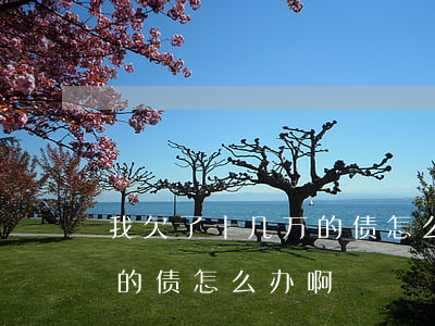 我欠了十几万的债怎么办啊-我欠了十几万的债怎么办啊