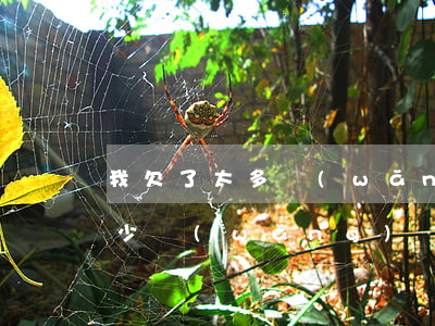 我欠了太多網(wǎng)貸(大家都欠了多少網(wǎng)貸)