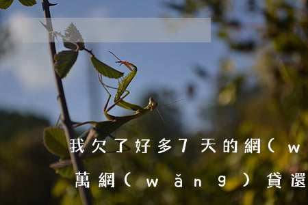 我欠了好多7天的網(wǎng)貸(欠了七萬網(wǎng)貸還有救嗎)