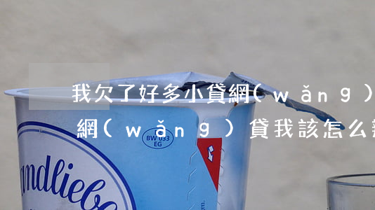 我欠了好多小貸網(wǎng)貸(欠了一堆網(wǎng)貸,我該怎么辦)