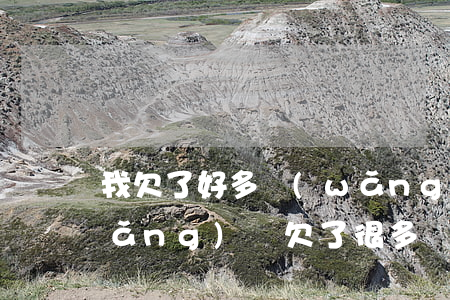 我欠了好多網(wǎng)貸怎么辦(網(wǎng)貸欠了很多錢怎么辦)