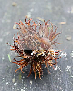 我欠了好多網(wǎng)貸無力償還怎么辦-我欠了好多網(wǎng)貸無力償還怎么辦告訴家人嗎