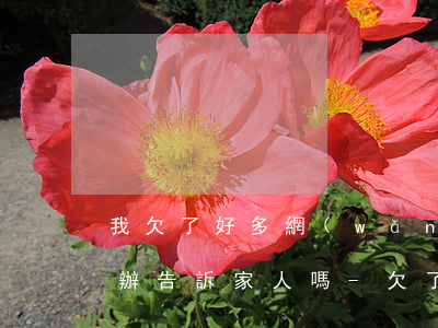 我欠了好多網(wǎng)貸無力償還怎么辦告訴家人嗎-欠了很多網(wǎng)貸無力償還怎么辦