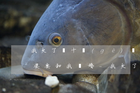 我欠了幾十個(gè)網(wǎng)貸老婆要和我離婚-我欠了幾十個(gè)網(wǎng)貸老婆要和我離婚怎么辦