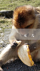 我欠了幾十個網(wǎng)貸咋辦欠8萬多-