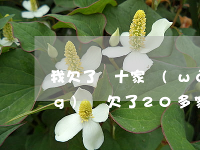 我欠了幾十家網(wǎng)貸(網(wǎng)貸欠了20多家一共30萬)