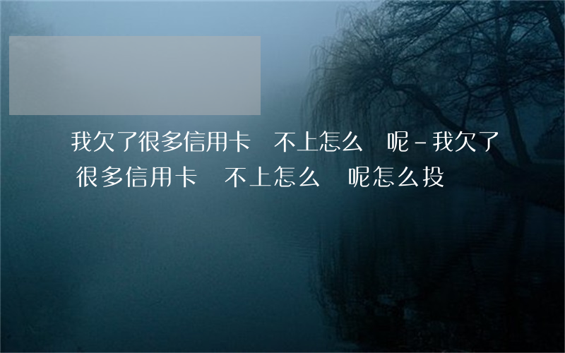 我欠了很多信用卡還不上怎么辦呢-我欠了很多信用卡還不上怎么辦呢怎么投訴