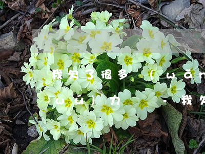 我欠了很多網(wǎng)貸全部逾期無(wú)力償還-我欠了很多網(wǎng)貸全部逾期無(wú)力償還怎么辦