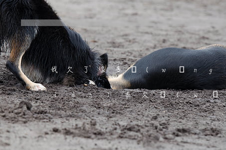 我欠了很多網(wǎng)貸咋辦(我現(xiàn)在欠網(wǎng)貸怎么辦)