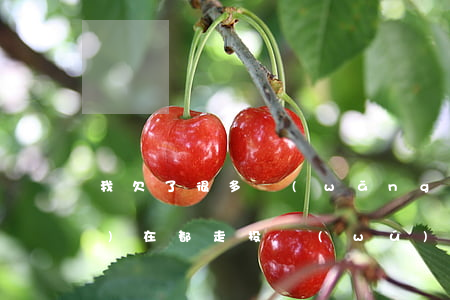 我欠了很多網(wǎng)貸現(xiàn)在都走投無(wú)路了-欠下好多網(wǎng)貸無(wú)路可走