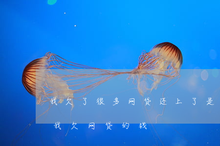 我欠了很多网贷还上了是炸骗吗(遇到诈骗说我欠网贷的钱)