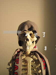 我欠了網(wǎng)貸2萬怎么辦(網(wǎng)貸欠2萬,我該怎么辦啊)