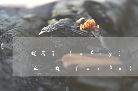 我欠了網(wǎng)貸3萬(wàn)怎么辦(我現(xiàn)在欠三萬(wàn)的網(wǎng)貸怎么辦)