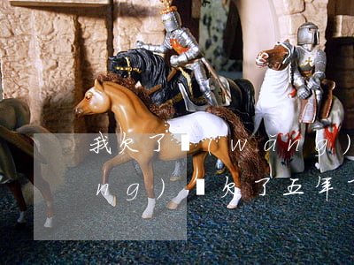 我欠了網(wǎng)貸一年多了(網(wǎng)貸欠了五年了)